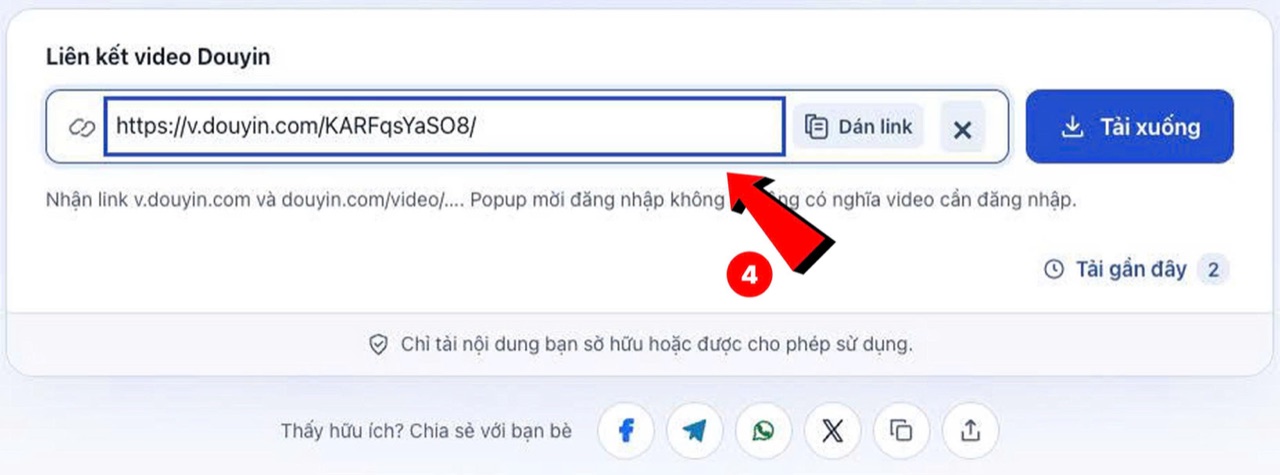 Dán liên kết video Douyin vào form và nhấn Tải xuống
